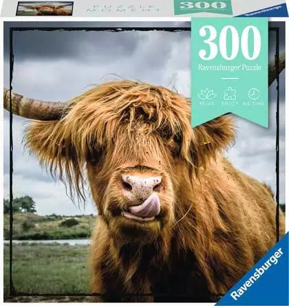 Ravensburger 300pc Puzzle