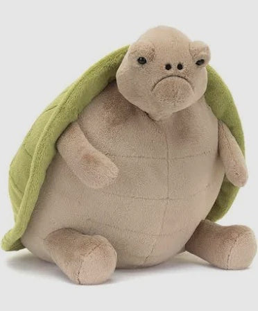 Timmy Turtle Big
