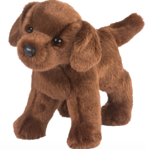 Tucker Chocolate Lab