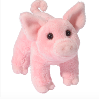Levi Pig