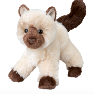 Hilda Himalayan Cat