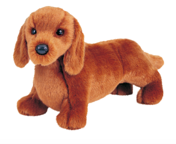 Dunham Shiba Inu