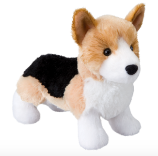 Shorty Tri-Color Corgie