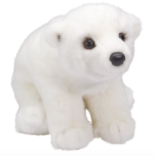Ursus Polar Bear
