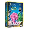 Crystal Growing Kit