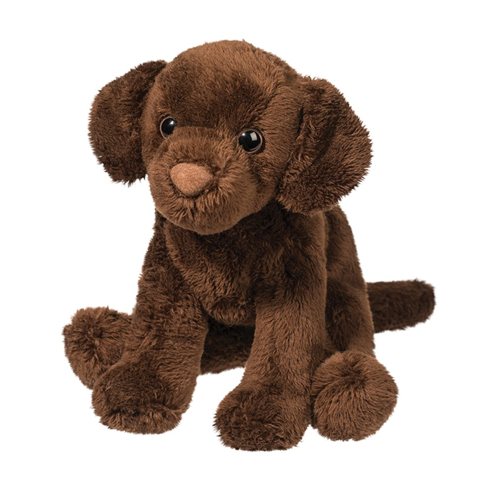 Chocolate Lab