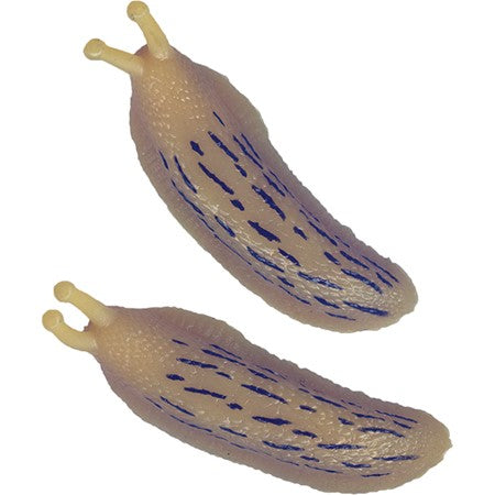 Banana Slugfest