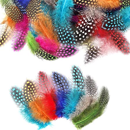 Feathers
