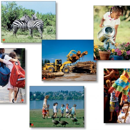 Language Cards, Beginner