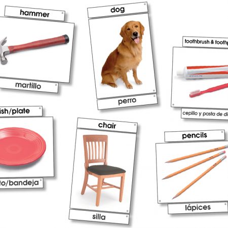 Language Cards Basic Vocab