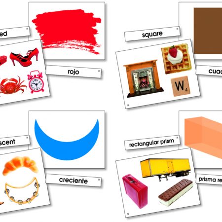 Lang Cards, Colors & Shapes