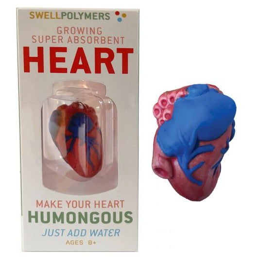 Swell Polymer Heart