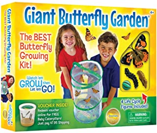 Original Butterfly Garden