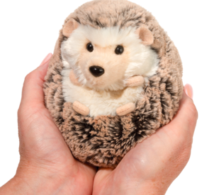 Spunky Hedgehog (small)
